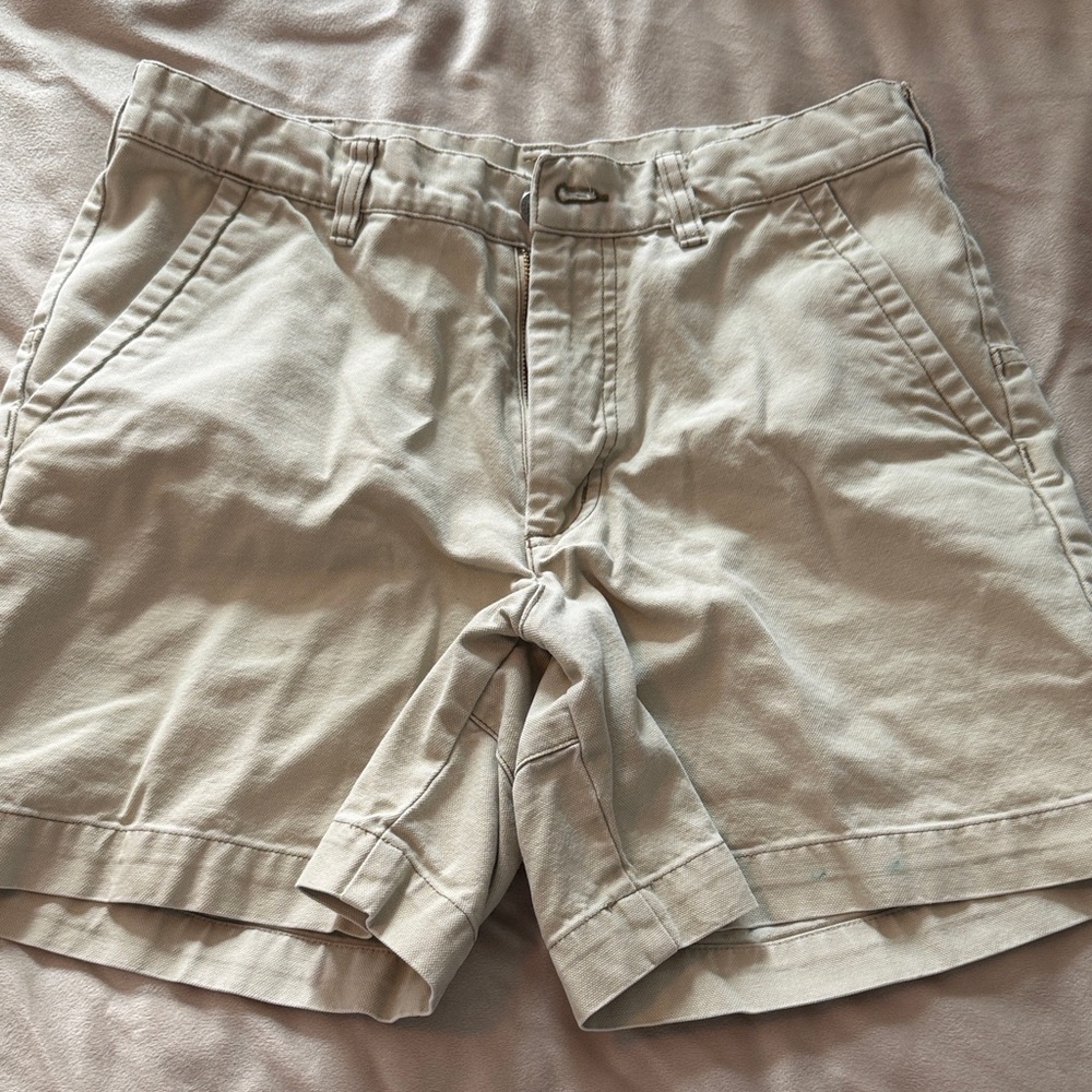 Patagonia Men's Beige Flat Front Shorts